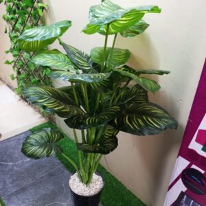 Artificial Plants