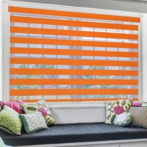 Zebra blinds