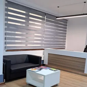 Zebra blinds (Copy)