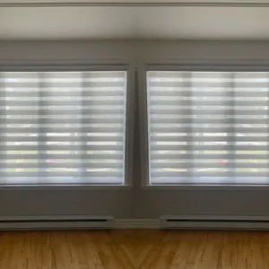 Zebra blinds (Copy)