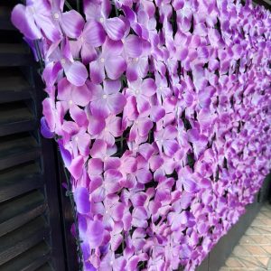 Coloured Privacy Fence