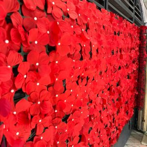 Coloured Privacy Fence