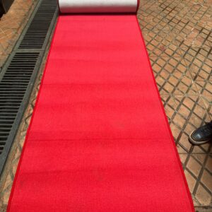 Walkway carpet (Copy)
